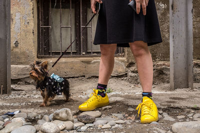 Low section of people with dog standing on street