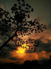 Low angle view of silhouette trees against sky at sunset