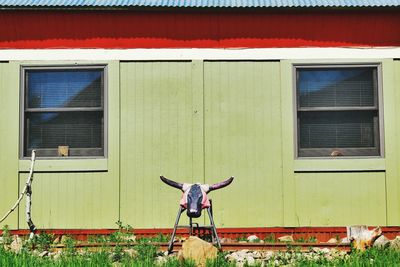 Bull sculpture against house