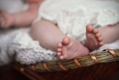 Close-up of baby feet in basket