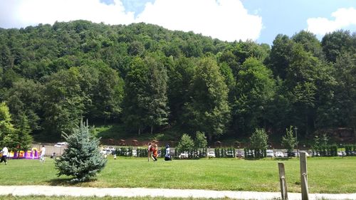 Trees in park against sky