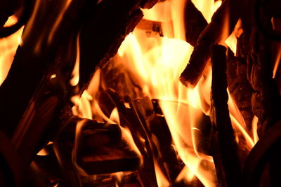 Close-up of bonfire at night