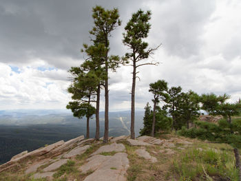 Scenic view of landscape against cloudy sky