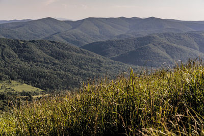 Scenic view of landscape and mountains against sky