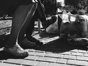 Low section of man with dog