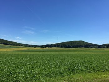 Scenic view of field against blue sky
