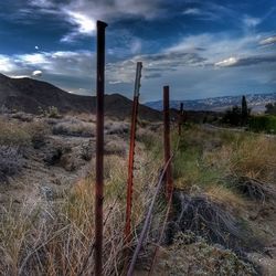 Scenic view of landscape against cloudy sky