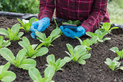 Man working in farm