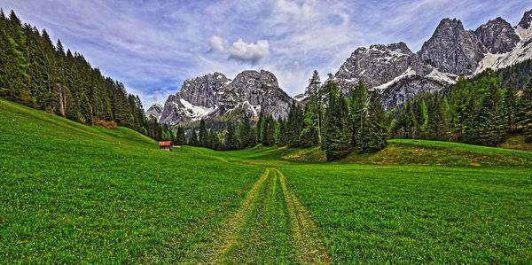 Scenic view of field against sky