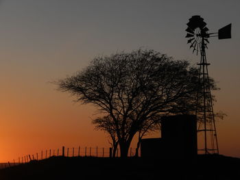 Silhouette trees at sunset