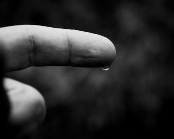 Close-up of hand holding leaf