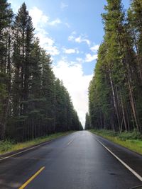 Empty road along trees