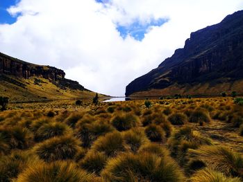 Scenic view of landscape against sky