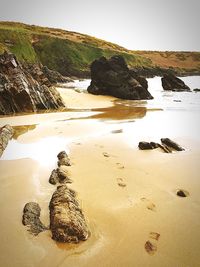 Scenic view of beach