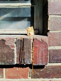 Close-up of brick wall