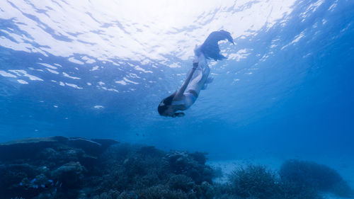 Woman in mermaid costume swimming in sea