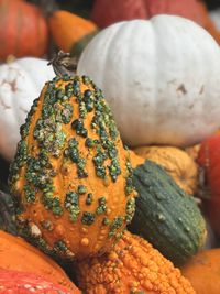Close-up of pumpkin