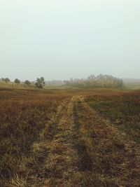 Scenic view of field against clear sky