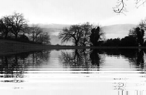 water, lake, tree, tranquility, clear sky, tranquil scene, reflection, bare tree, scenics, waterfront, beauty in nature, nature, silhouette, river, sky, copy space, calm, foggy, branch