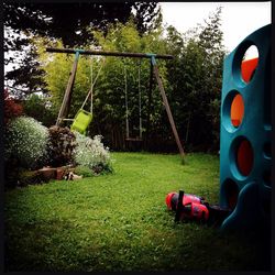 Trees on grassy field