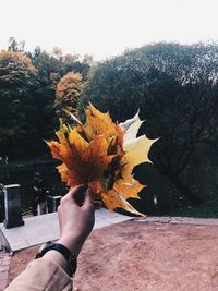 Close-up of person holding autumn leaf