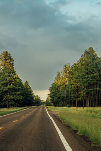 Road amidst trees against sky