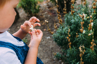 Close-up of woman holding plant