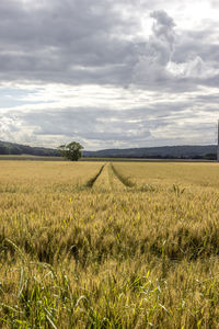 Scenic view of field against cloudy sky