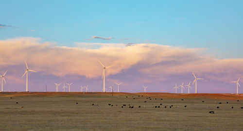 Wind turbines in field against dusk sky with cattle