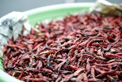 Close-up of dry red chili pepper in container