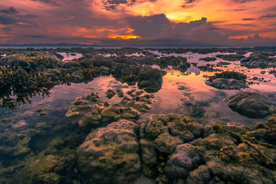Scenic view of calm sea at sunset