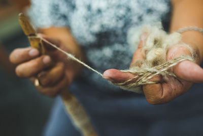 Cropped hand of woman holding plant