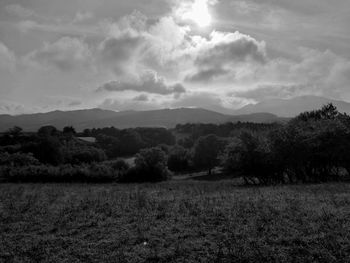 Scenic view of field against sky