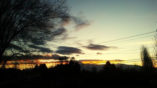 Low angle view of silhouette trees against sky during sunset