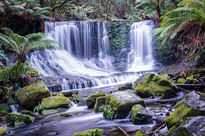 Waterfall in forest