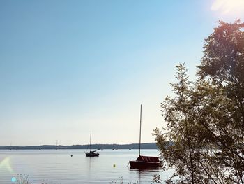 Sailboats moored on sea against clear sky