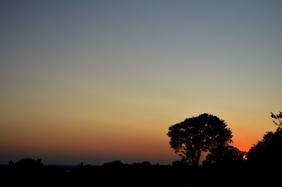 Silhouette trees against clear sky during sunset