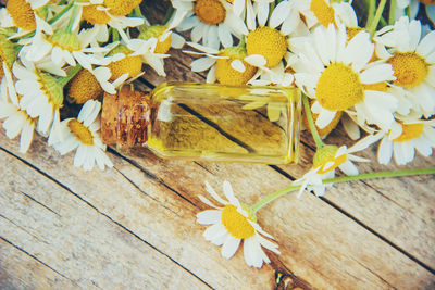 High angle view of flowers on table