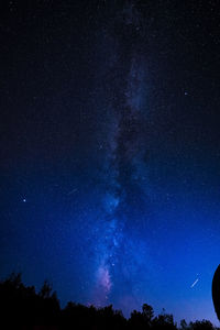 Low angle view of trees against star field at night