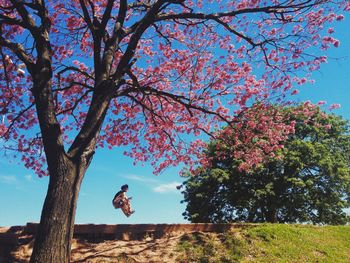 Man skateboarding under tree