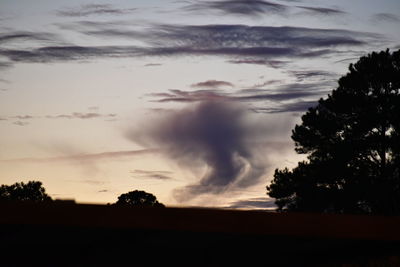 Silhouette of trees against cloudy sky
