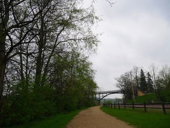 Empty road along trees