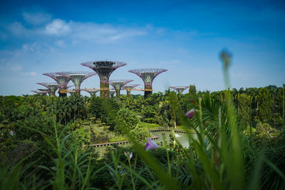 Plants growing on field against sky