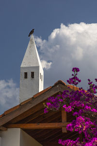 Low angle view of bird on building against sky