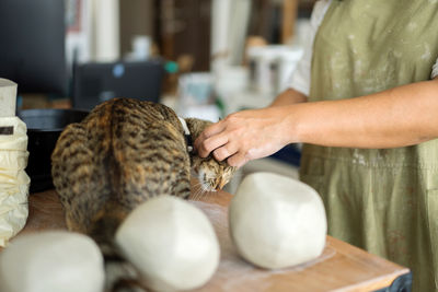 Woman stroking her cat in the studio