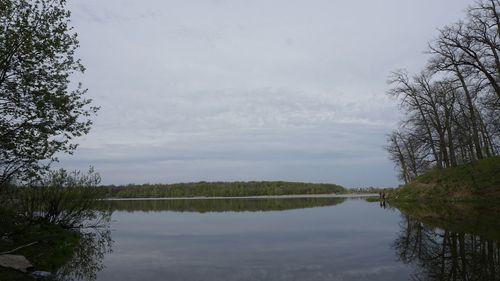 Reflection of trees in calm lake