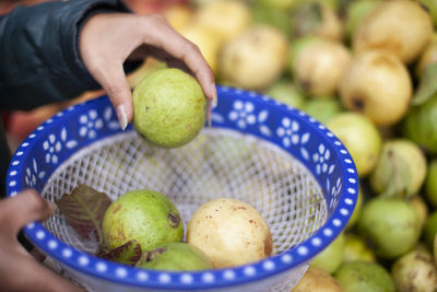 Close-up of hand holding apple