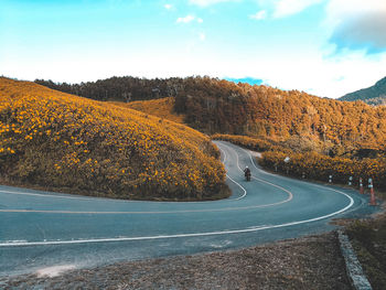 Aerial view of road by trees against sky