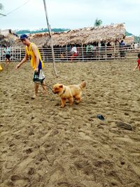 Man with dog on beach