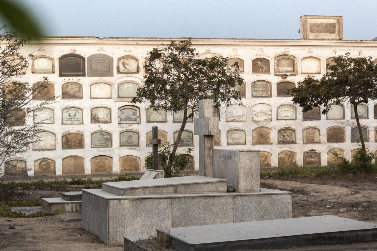 architecture, built structure, plant, building exterior, tree, history, the past, nature, sky, no people, day, building, travel destinations, travel, old, arch, tourism, outdoors, ancient, religion, antique, courtyard